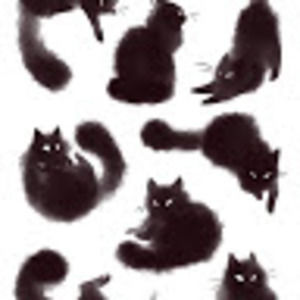 Meet your Posher, Nik